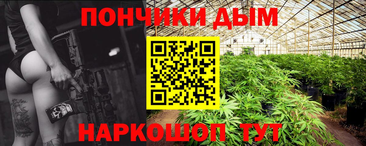 Марихуана сатива Казань